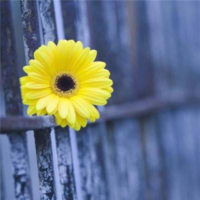 AG官方登陆入口