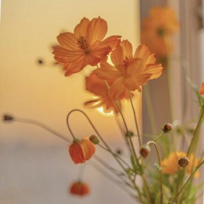 亚星娱乐网手机app下载