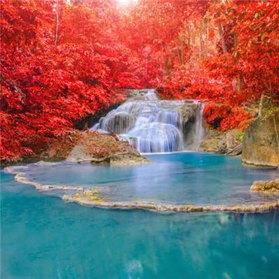 大众彩票入口welcome手机app下载