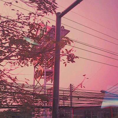 丰禾棋牌app下载