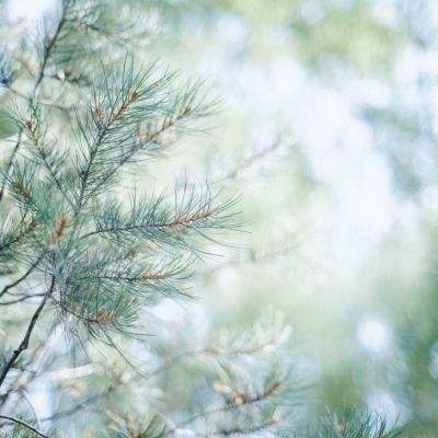 AG官方平台下载地址