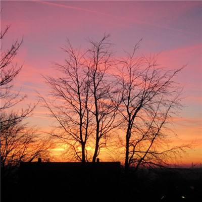 BET体育365投注官网手机app下载